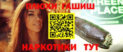 твердый Гатчина
