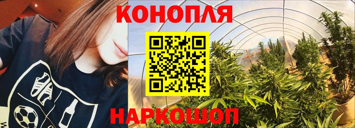 Бошки марихуана Amnesia Барнаул